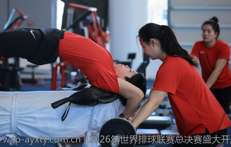 最新意甲射手数据解读，射手榜排名大揭秘