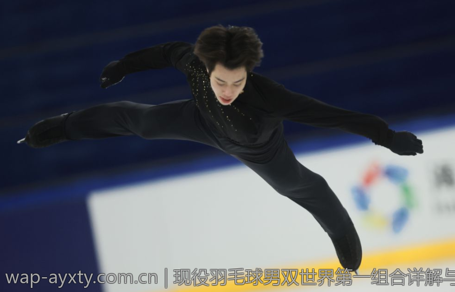 现役羽毛球男双世界第一组合详解与比赛历史