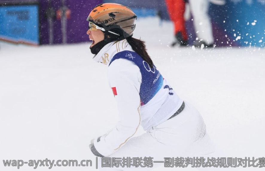 国际排联第一副裁判挑战规则对比赛公平性的影响分析