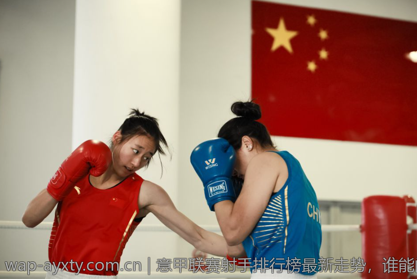 意甲联赛射手排行榜最新走势，谁能问鼎金靴